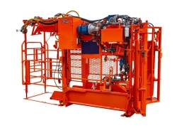 Hoof Care and Treatment Stock for Cattle - Safe and Reliable Max 5