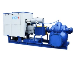 Diesel Pumping Unit DNU-1750/18 for Efficient Water Transfer