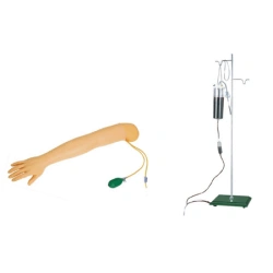 Male Injection Training Arm Model S3