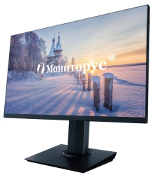 Liquid Crystal Monitor MONITORUS 2400/DP CD2400