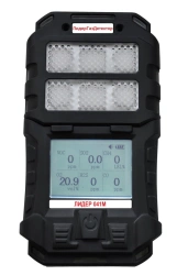 Portable Gas Analyzer Leader 041M