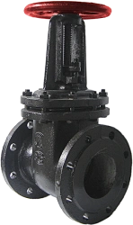 Cast Iron Parallel Gate Valve 30ch6br
