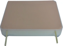 Hemostasis Practice Model CS6213