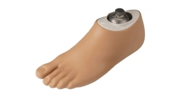 Foot Prosthesis for Lower Limb Amputation