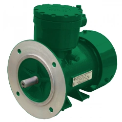 Explosion-Proof Induction Motor AИMЛ 132 M4