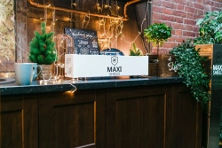 MAXI SHIELD IV Bactericidal Recirculator (1x15W)