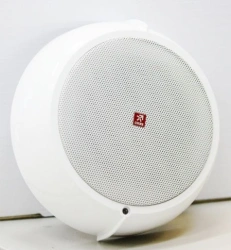 Voice Fire Alarm Notification Device ARG-R8-OR-PM