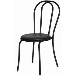 Metal Frame Chair with Soft Cushioning