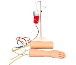 IV Training Arm