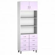 Medical Equipment Storage Cabinet SHK.13.03 (Model 1)