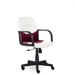 Ergonomic Office Chair Fest Combi
