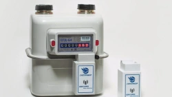 Smart Diaphragm Gas Flow Meter with Electronic Corrector SГД SMART