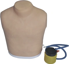 Pneumothorax Model for Medical Training, Art. Q7