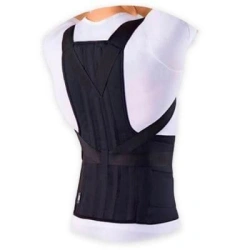 Back support brace