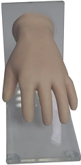 Anatomically Accurate Injection Practice Hand Model, NS6007