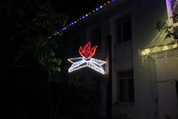 LED Decorative Outdoor Light Panel "Eternal Flame" - 220V/24V