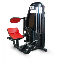 Spinal Extension Trainer with Weight Stack