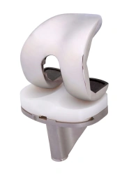 Sanat Swing Knee Joint Implant Set: Femoral Component