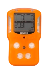 Portable Multi-Gas Analyzer MultiGasSens-M2