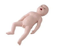 Neonatal Endotracheal Intubation Model for Practical Skills - FA6248