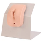 Female Catheterization Training Model, Art. 28F