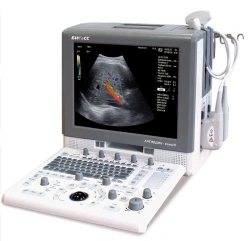 Portable Ultrasound Device ANGIODIN-Sono/P