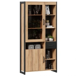 Techno LD.678010.000 Wardrobe (Golden Oak/Black)