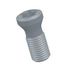 Metal Screw