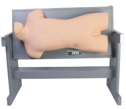 Advanced Training Simulator for Various Punctures, CK810