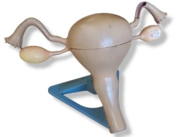 Model of a Queen Bee on Stand, ROST-15108