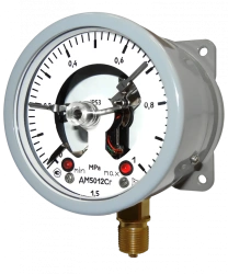 Pressure Gauge DM5012Cg for Measuring Excess Pressure