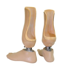 Custom Foot Prosthesis 8-07-01