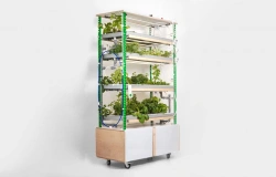 Vertical Hydroponic Growing System "SEEM SEED