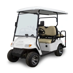 Passenger Electric Vehicle "SVYATEKO ELBRUS" SE22