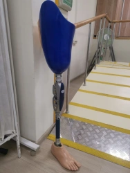 Hip Prosthesis for Bathing PN6-75