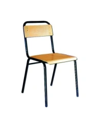Student Chair with Adjustable and Non-Adjustable Parameters