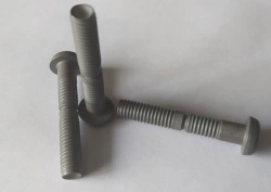 Titanium Alloy Bolt-Rivet Pins with Flat-Rounded Head, Diameter p6