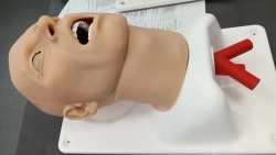 Adult Intubation and Cricothyrotomy Training Head Model