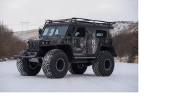 Snow and Swamp Vehicle Yeger 321111