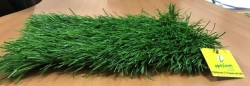 Artificial Grass Covering Optigrass C-Classic 60 MF
