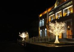 Decorative Outdoor LED Tree Illumination – Frame Type