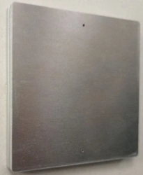 Scenario Switch with 2 Buttons and Indicator - FS-BT2