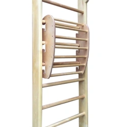 Wall-Mounted Back Trainer for Swedish Wall
