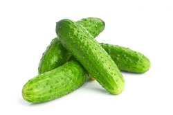 Fresh Cucumbers - Premium Quality Vegetables