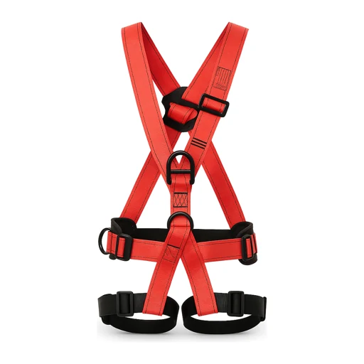 Full-Body Harnesses & Safety Belts