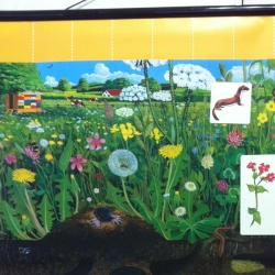 Magnetic Poster "Natural Community of the Meadow