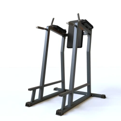 Bench Press Dip Station BF-312.1