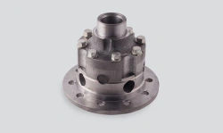 Rear Axle Differential for UAZ Patriot, Hunter, SGR, Spicer Bridge 316000240301110