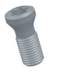 Hexagonal Screw SM 3.5-2 for Securing Replaceable Inserts
