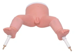 Newborn Bone Marrow Aspiration Model PS6301